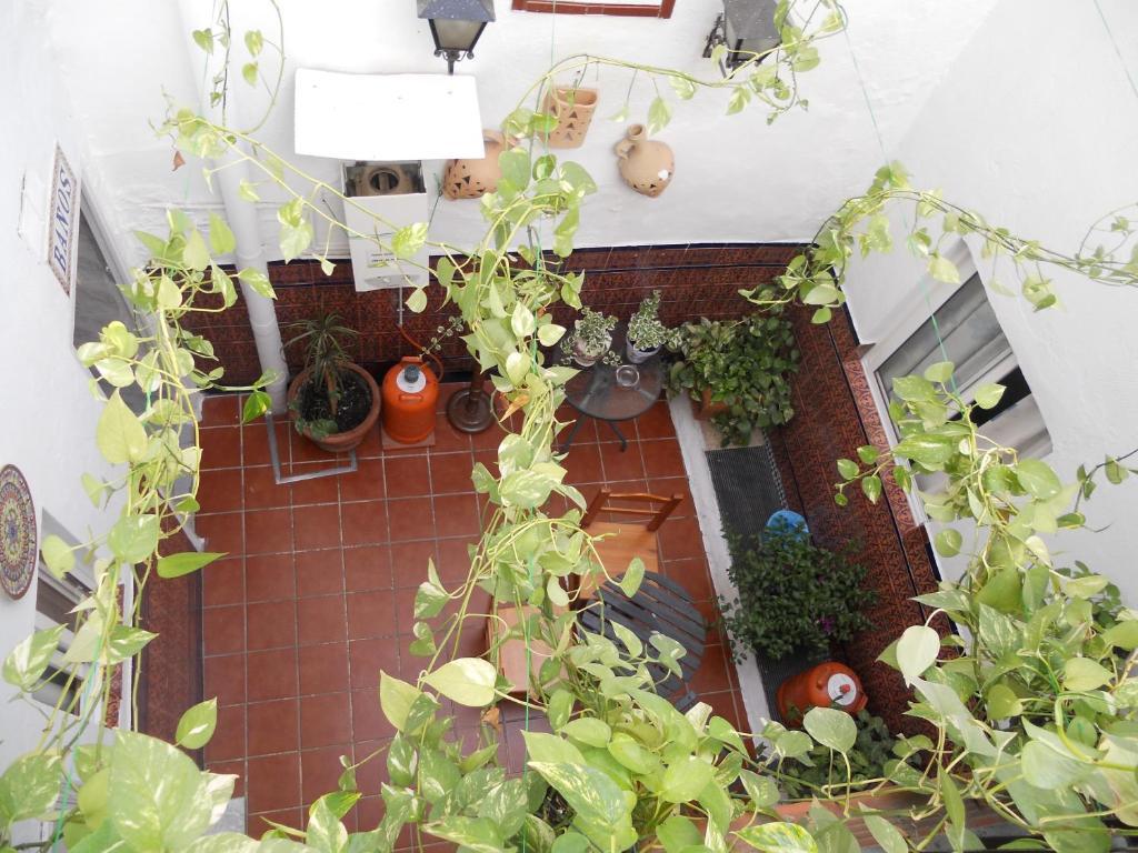 Pension Santa Maria La Blanca Sevilla Kültér fotó